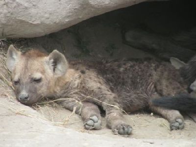 PICT0090.JPG